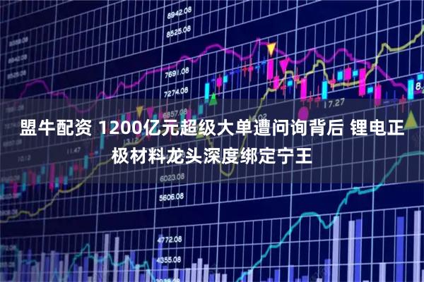 盟牛配资 1200亿元超级大单遭问询背后 锂电正极材料龙头深度绑定宁王