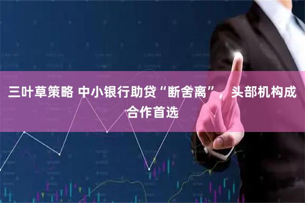 三叶草策略 中小银行助贷“断舍离”，头部机构成合作首选